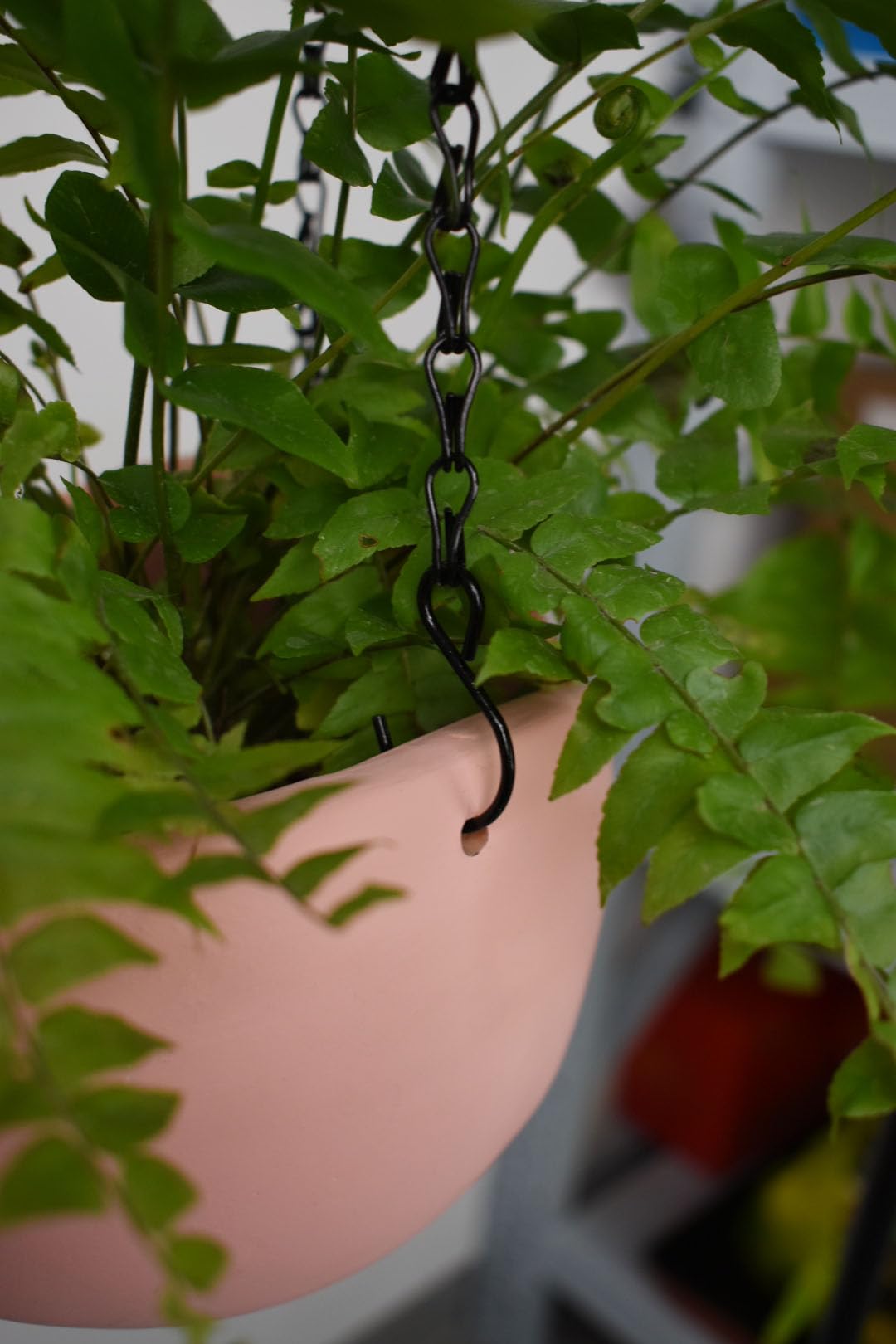 Sersberg Hanging Basket Chain,22 Inch Black Hanging Chain,Chain for Hanging Plants with Hooks for Bird Feeder Hanging Planter Porch Wind Chime (Black, 22 Inch-5PCS)
