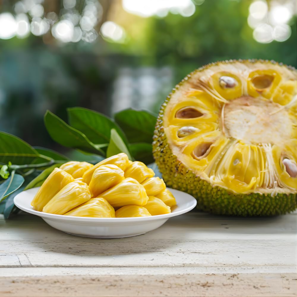 Jackfruit Tree Live Plants, Jackfruit Tropical Fruit Trees, Sweet Fruit Plant from 8-10 Inch Tall in 4 Inch Pot for Outdoor Gardening