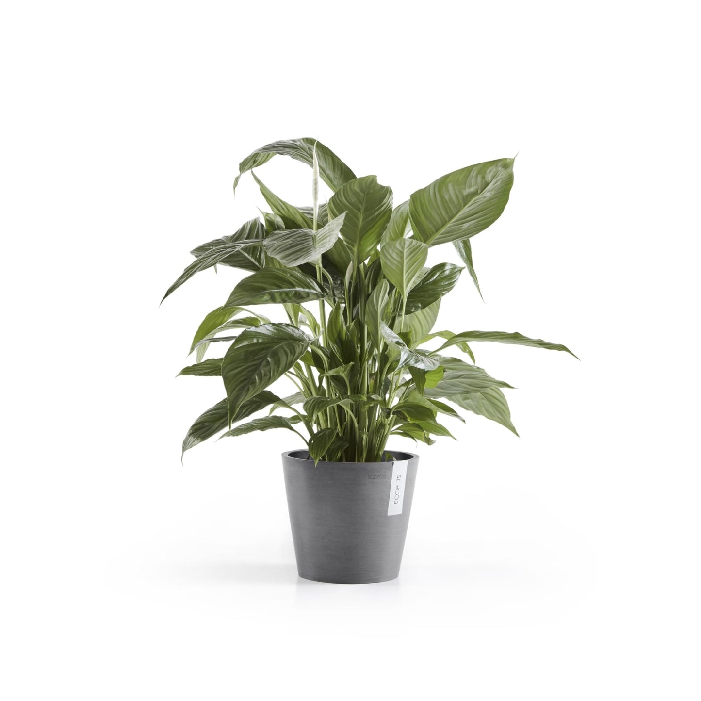 Ecopots Amsterdam Durable Modern Round Indoor/Outdoor Recycled-Based Composite Flower Pot Planter, Grey, 8"