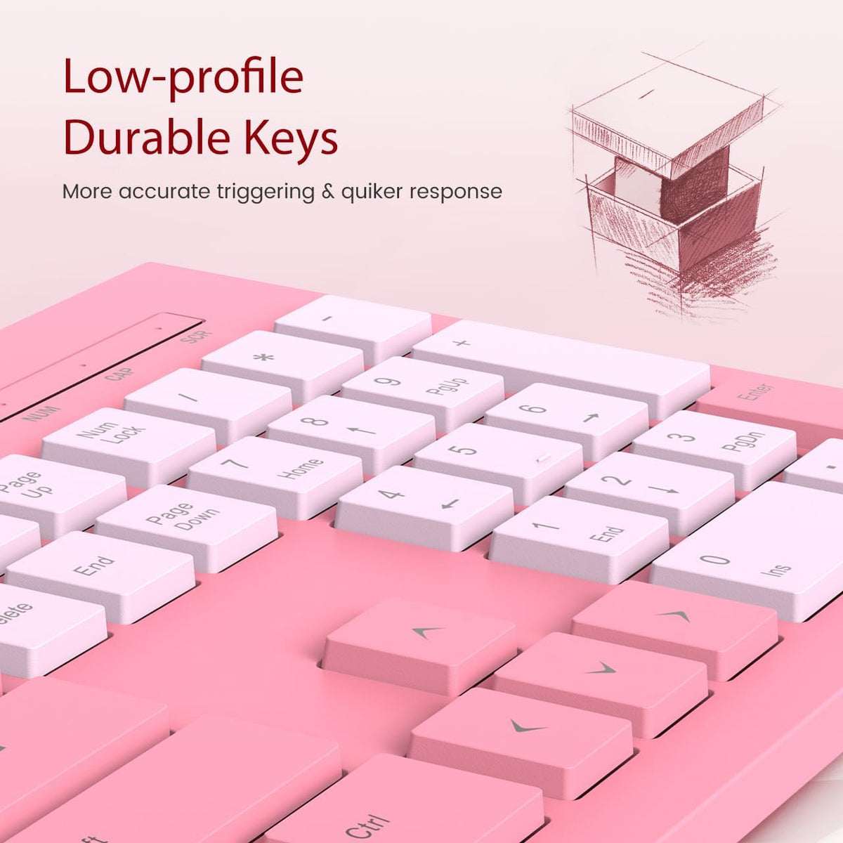 Computer Keyboard Wired, Plug Play USB Keyboard, Low Profile Chiclet Keys, Large Number Pad, Caps Indicators, Foldable Stands, Spill-Resistant, Anti-Wear Letters for PC Laptop (Rose Pink, 1-Pack)