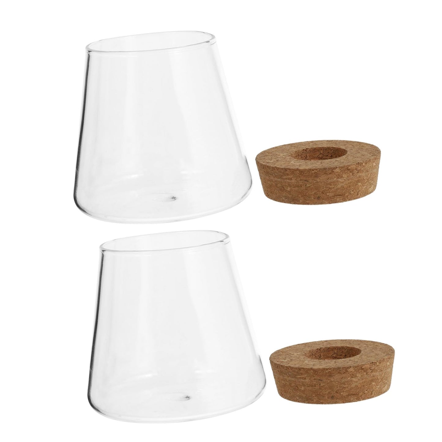 INOOMP 2Pcs Hydroponics Glass Vase for Plants Clear Smooth Terrarium Planter Home Decoration for Office and Events