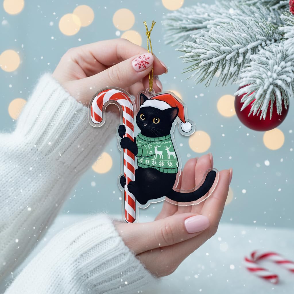 Black Cat Christmas Ornament Hugging Candy Cane 2D Flat Acrylic Ornament - Cute Ornaments for Christmas Tree, Black Cat Ornaments for Women, Men 2025