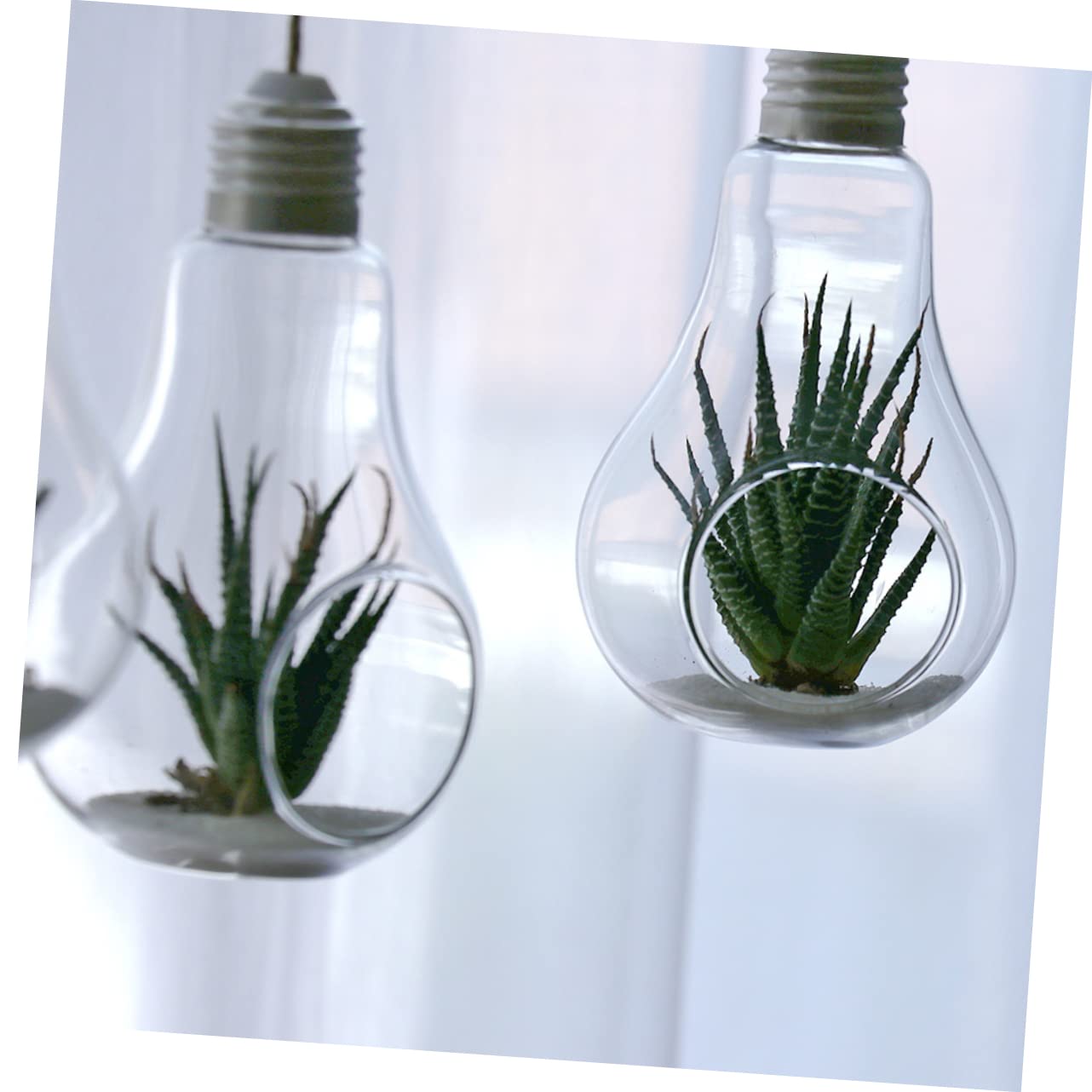 HANABASS 2pcs Light Bulb Hydroponic Vase Creative Hanging Terrarium Flower Container for Home Office Decor Stylish Glass Plant Organizer for Indoor Decoration