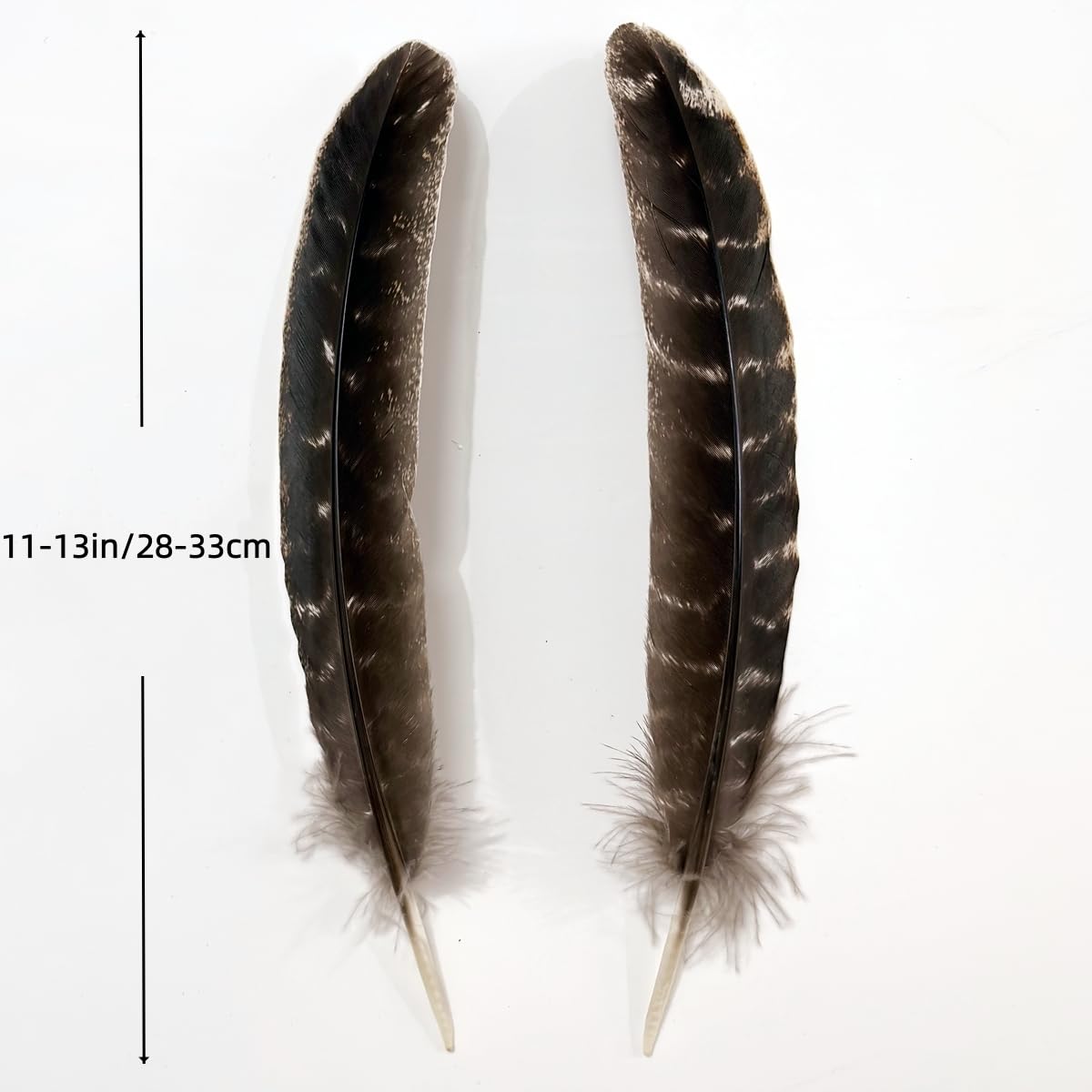 Turkey Wing Feathers,Natural Big Long Feather,11-13 inches (28-33cm),Large Size Bilateral Feathers,Left and Right Wings for Crafts,Bulk 12pcs (Natural Turkey Wing-1)