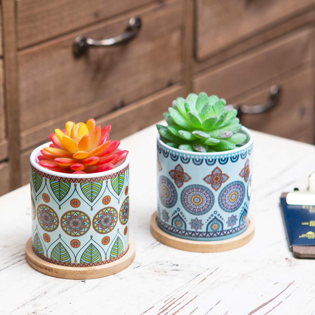 COLOAPT Succulent Plant Pots - 3.1 inch Ceramic Succulent Planter -Cylinder Flower Pots for Cactus with Drainage Hole and Bamboo Tray,6 Pack,Plants not Included
