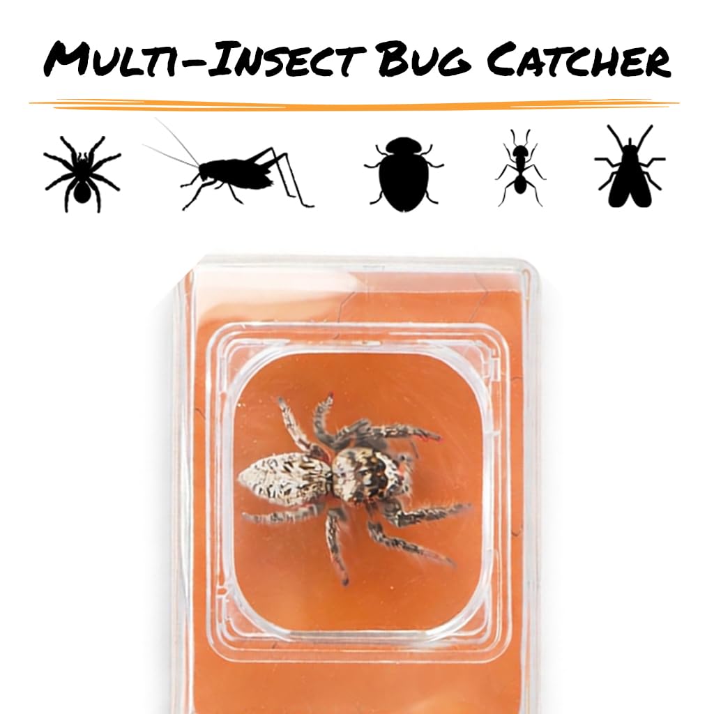 Carson BugView 5X Magnifying Glass Quick-Release Bug Catcher Indoor and Outdoor Tool for Kids or Adults (HU-10)