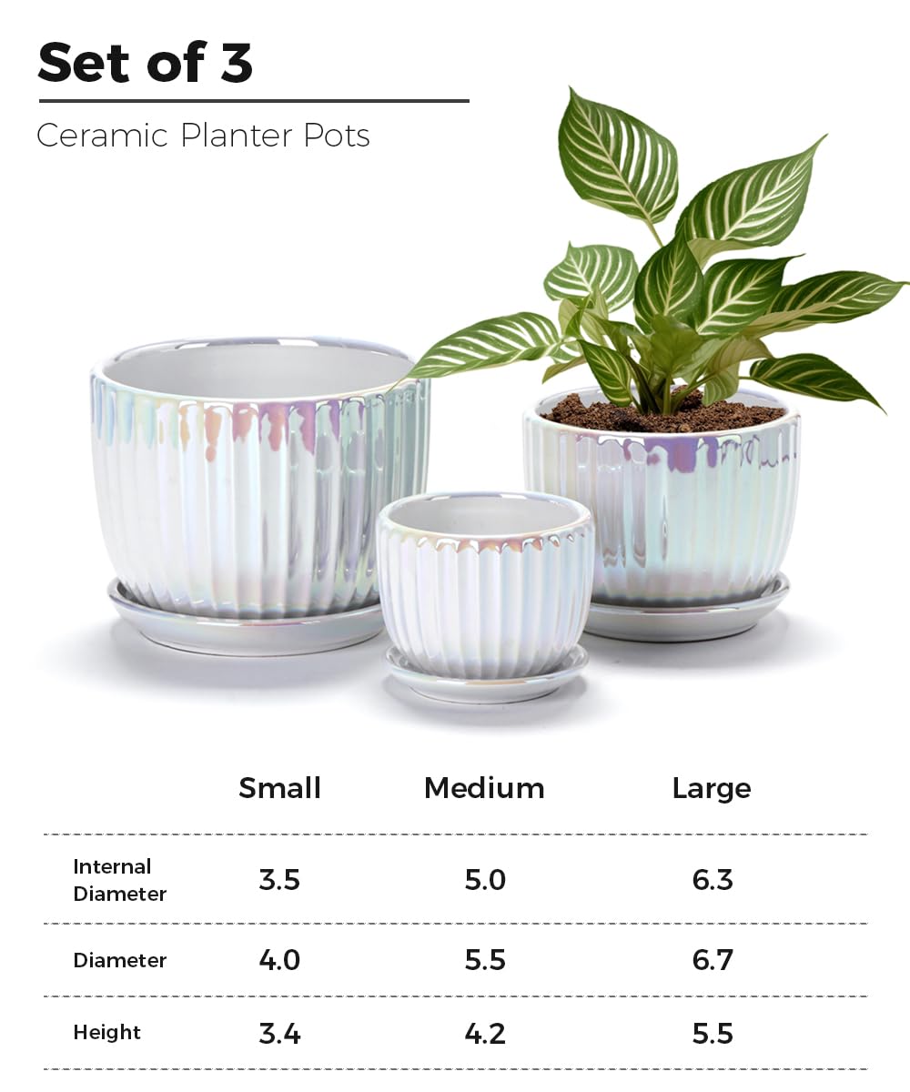Ton Sin White Plant Pots,Pearl Gold Ceramic Flower Pots 4"+5"+6" Inch Indoor Succulent Pot with Drainage Hole - Decorative Orchid Pots and Herb Pots Set of 3