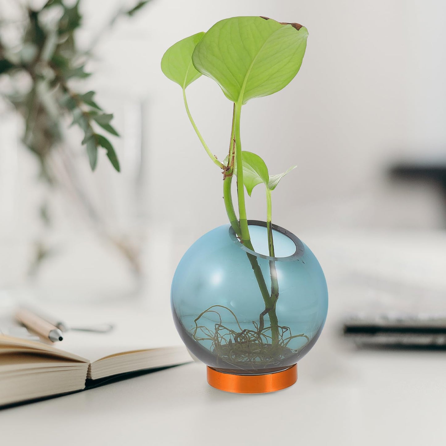 Cabilock Glass Hydroponic Vase with Copper Stand, Small Round Floral Arrangement Terrarium for Indoor Plant Decor and Hydroponic Flowers Display
