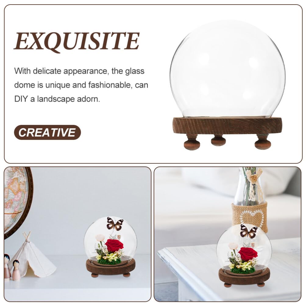 MAGICLULU Clear Glass Cloche Dome Bell Jar with Wood Base 10cm DIY Snow Globe Kit Craft Keepsake Display Case Terrarium for Preserved Flower Plant Succulent