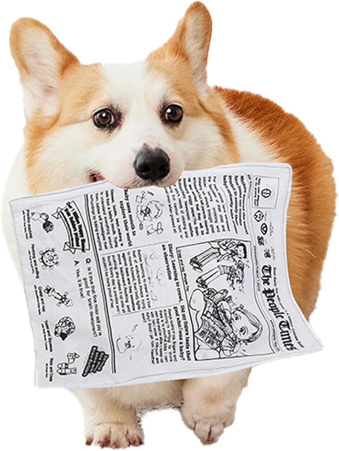 UtySty 3 Pack Dog Squeaky Toys Crinkle Paper Dog Toys Non Shredding Washable Interactive Crinkly Newspaper No Stuffing Dog Chew Toy for Puppy Puppies Small Doggie Poodle Teddy Terrier Dogs Tearing