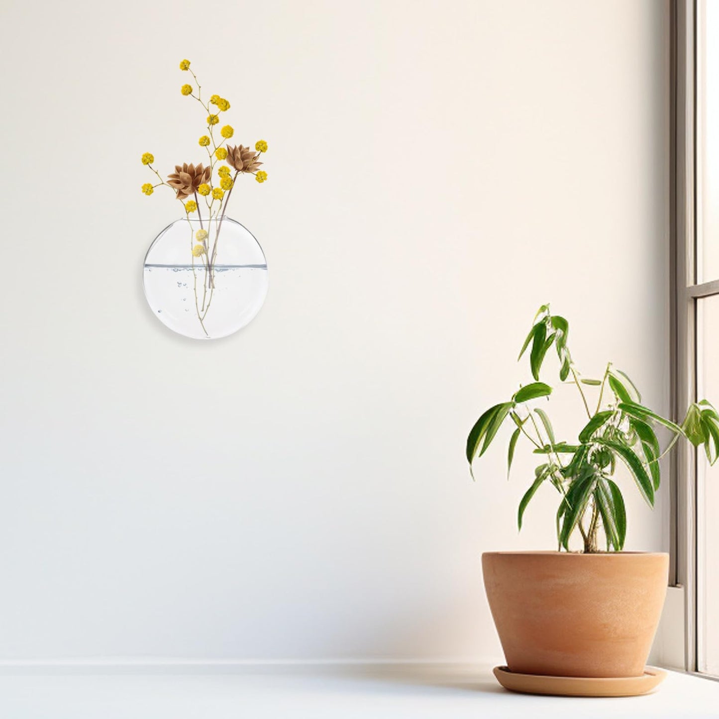 FUOYLOO 2pcs Wall Hanging Planter Glass Terrarium Vase Hydroponic Wall Mounted Plant Pot for Indoor Home Décor