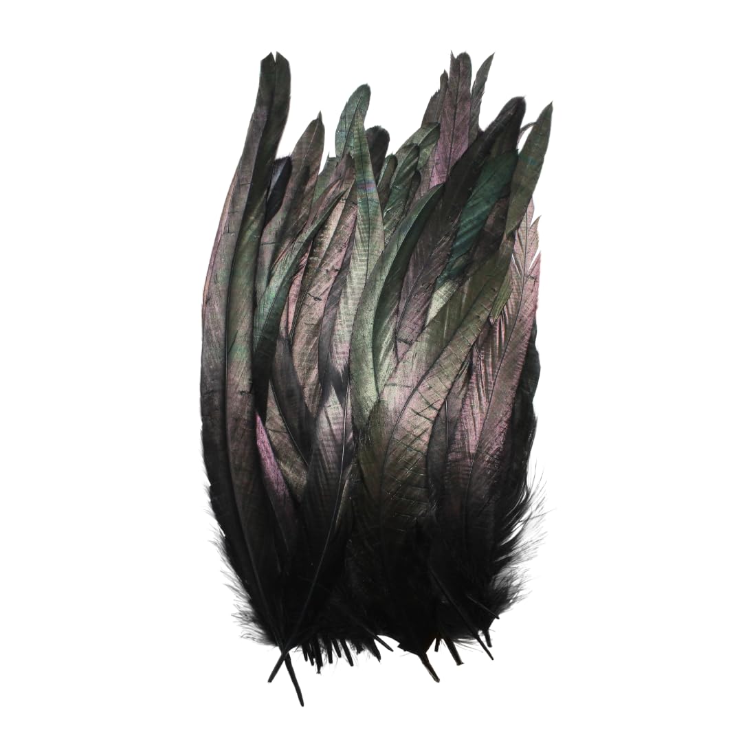 Schuman Feathers Black Coque Tail Feathers 30 Pack (10-12 Inch) – Natural Rooster Feathers for Crafts, Costumes, Decor, DIY, Halloween, Mardi Gras – Packed in USA, U.S. Quality Control