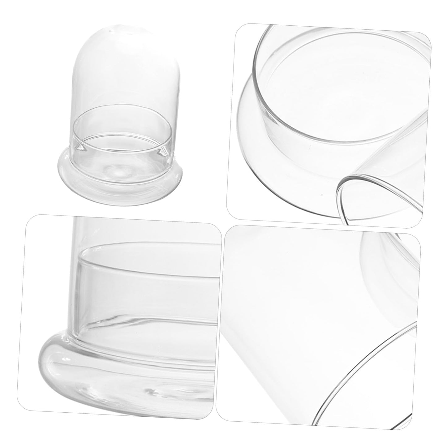 Alipis Mini Landscape Bottle Lid DIY Moss Eco Terrarium Glass Container for Home Decor Suitable for Succulent Plants and Micro Landscapes