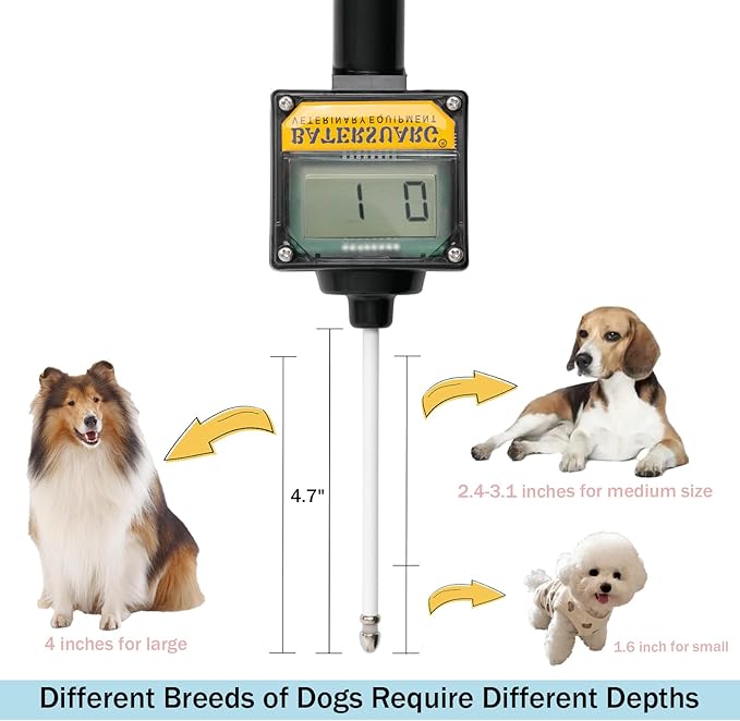 Dog Ovulation Detector with Detailed Manual, Pregnancy Test for Dogs at Home, Dog Progesterone Test Machine for Dog Pregnancy Planning Mating Testing, XZJ-213-80Y963