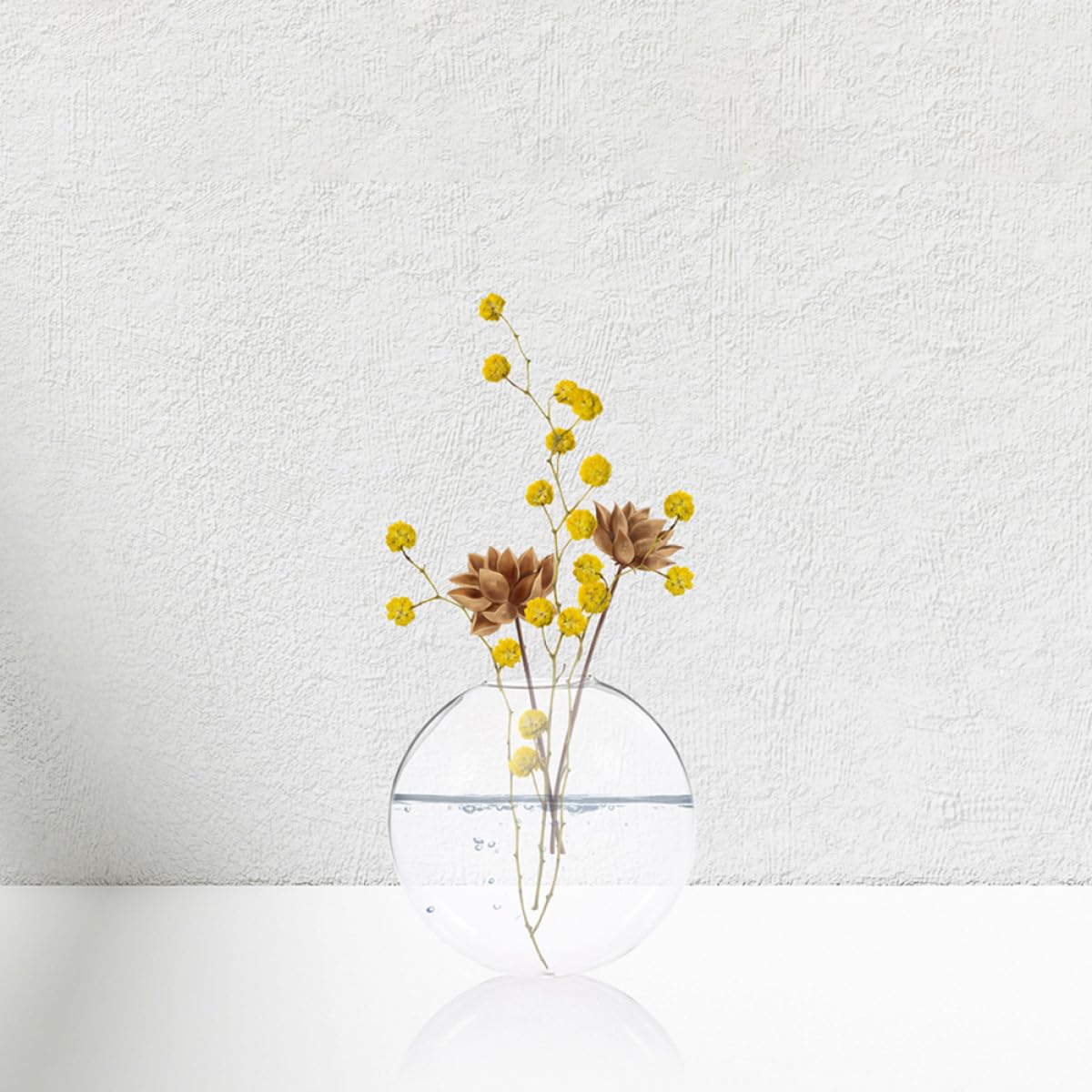 FUNOMOCYA Glass Terrarium Hanging Vase Wall Mounted Hydroponic Vase Glass Plant Holder 2pcs Decorative for Home Décor