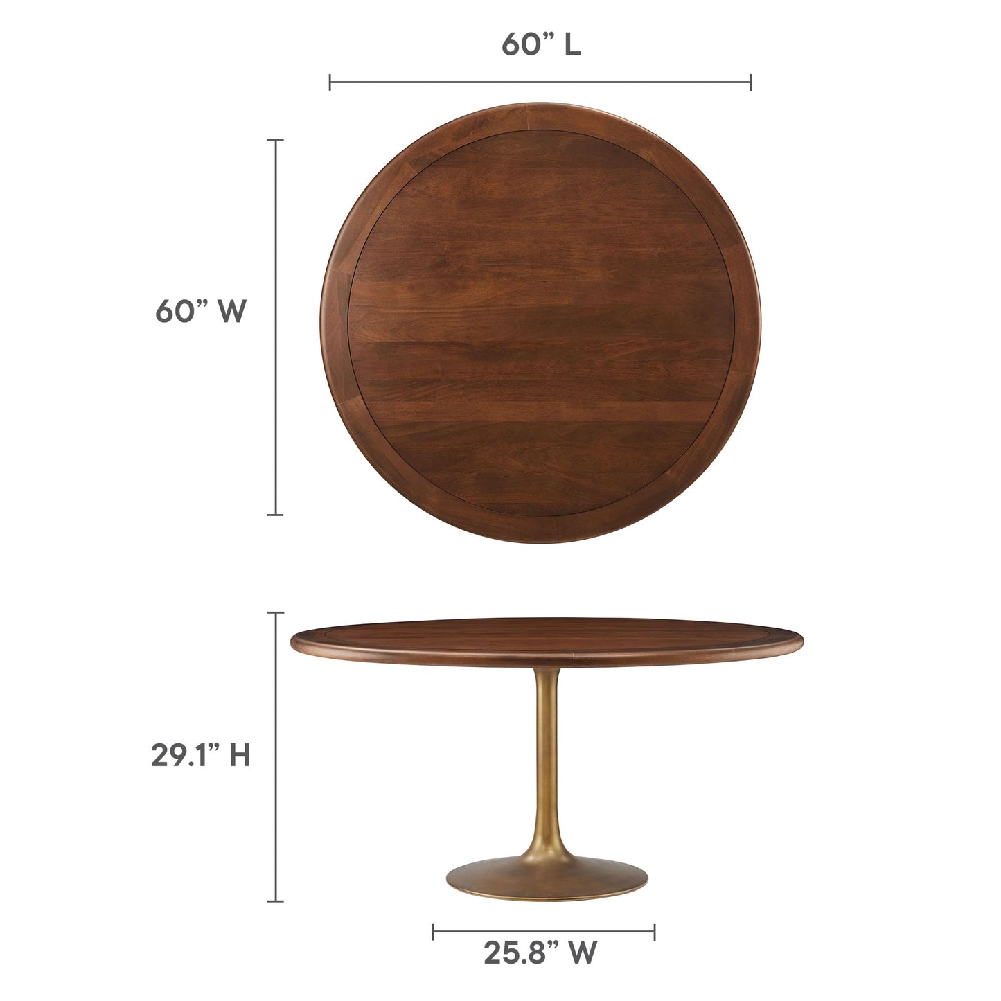 Modway Lippa 60 Inch Round Wood Dining Table with Metal Pedestal in Brass Walnut - Modern Industrial Dining Table for 6 People - Solid Wood Tulip Kitchen Table
