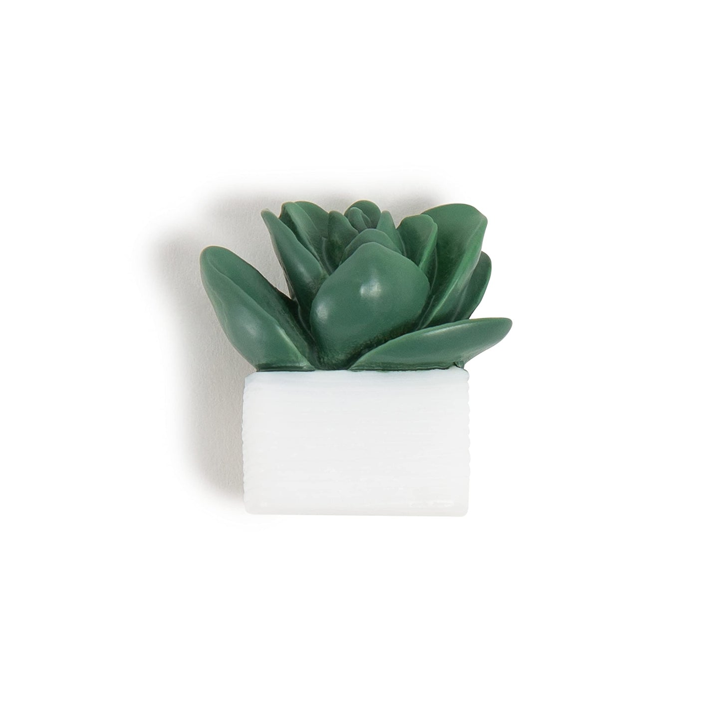 U Brands Succulent Push Pins Set, Office Supplies, Three Assorted Styles, 9 Count