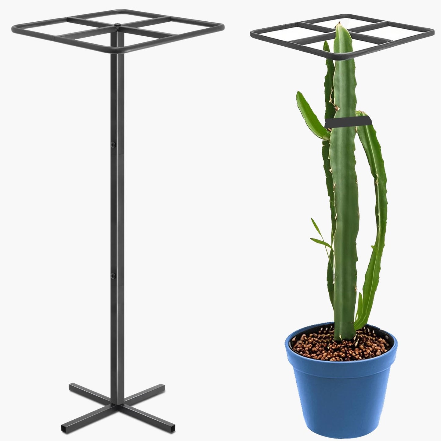 Gavinjitao Metal Dragon Fruit Trellis，Adjustable Dragon Fruit Plant Trellis for Vertical Gardening and Climbing Plants Trees Cactus Garden Outdoor Indoor Potted Support （Black）
