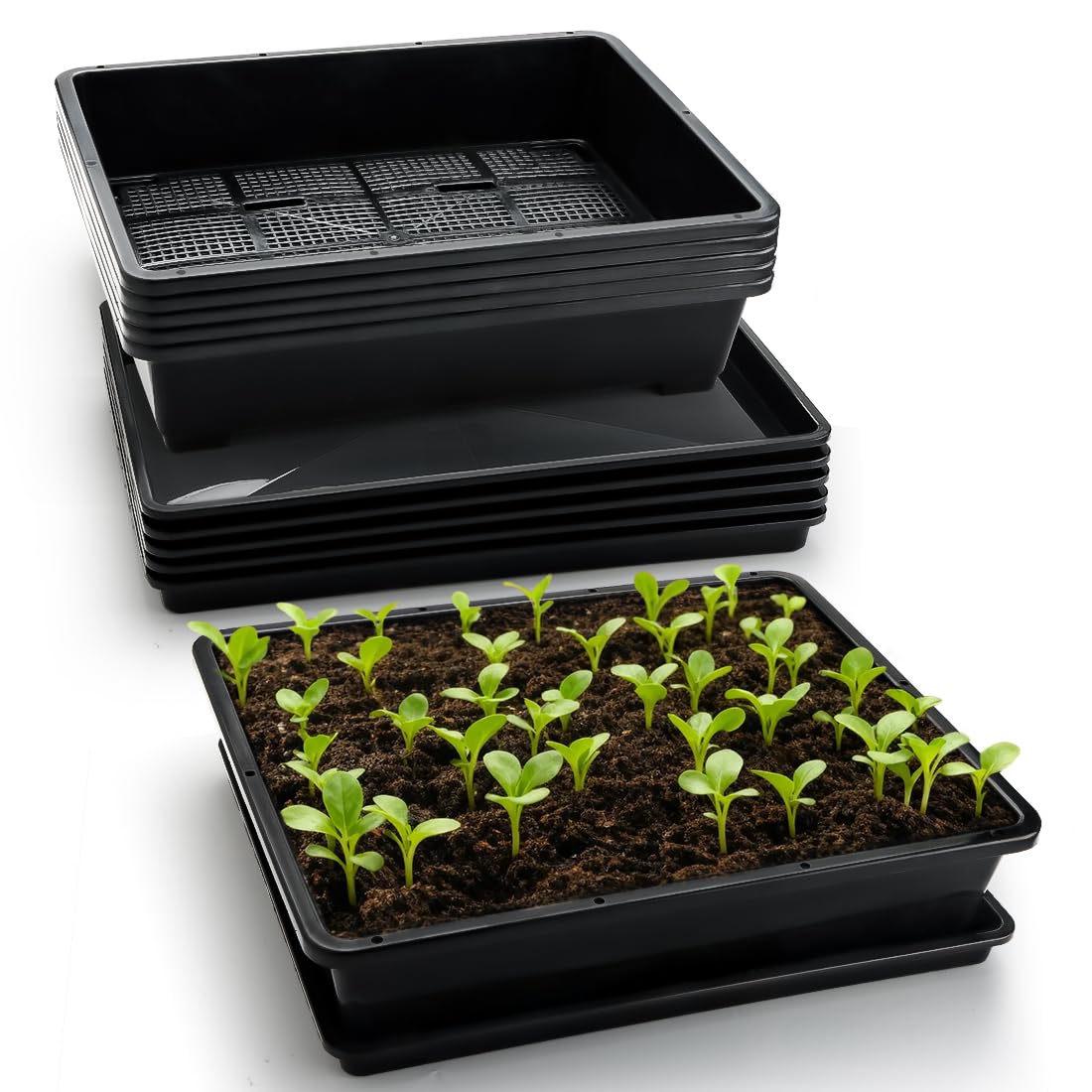 RooTrimmer 5 Pack Soil Blocking Trays(14"x12"x3"), Plastic Flat Plant Tray for Holding or Collecting Drainage Water, Elevated Microgreen Seed Starter Tray for Seed Germination (Black)