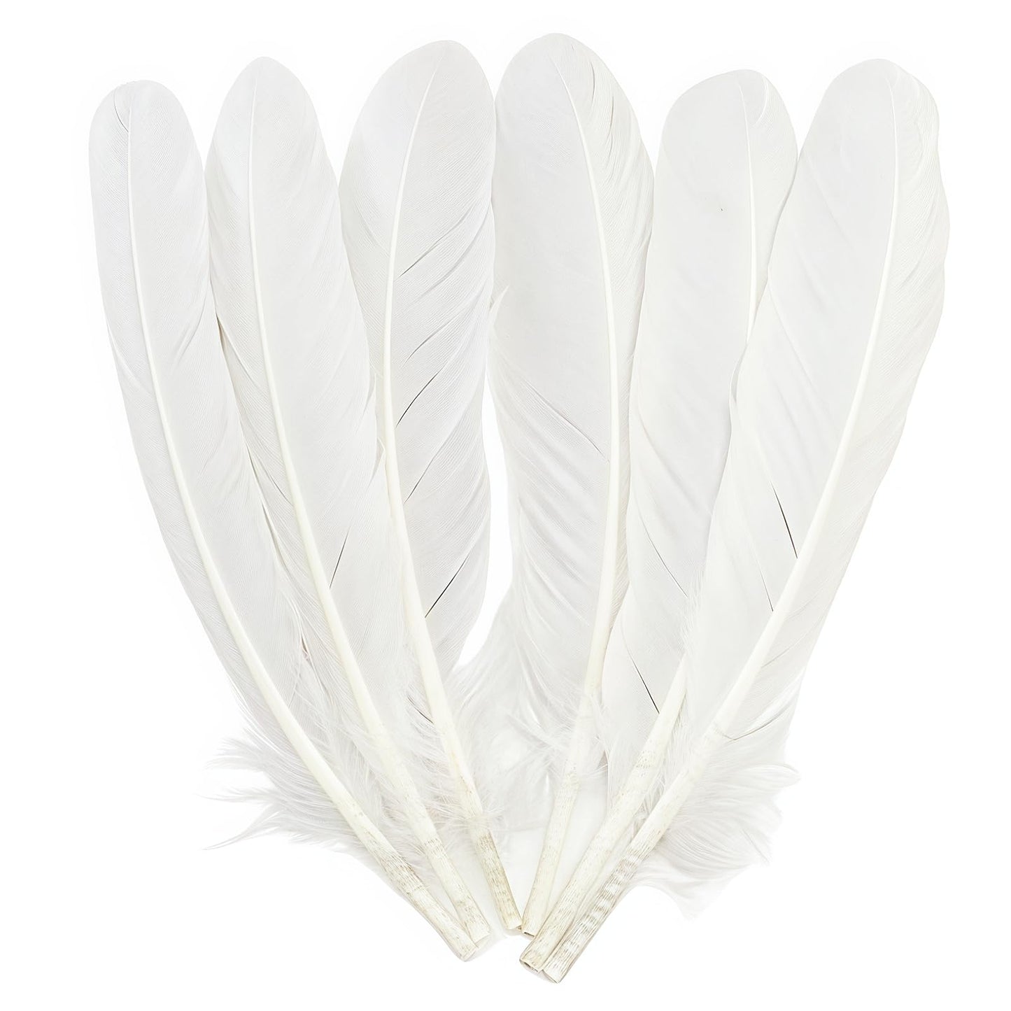 Natural Goose Feathers,50Pcs Bulk Long 8-10in (20-25cm) White Goose Feathers for Crafts Angel Wings Wedding Party DIY (Natural White)