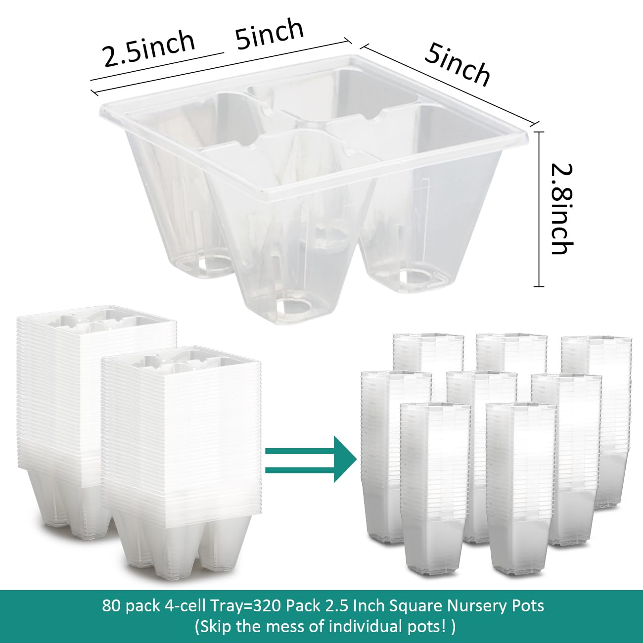 RooTrimmer 80 Pack Reusable 4-Cell Clear Seed Starter Trays - Extra Large Drainage Holes, Easy Transplant, Clear Transparent Tray for Root Observation, Seed Starting, Fits Standard 1020 Flats