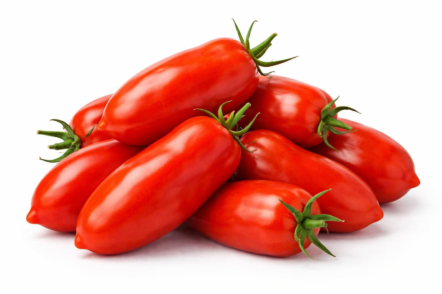 Tomato Live Plant – 4 Inch Pot | Solanum lycopersicum | Indeterminate Italian Paste Tomato | Long Red Plum Fruit | Ideal for Sauces, Canning & Garden Growing