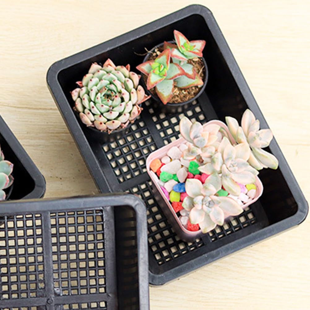 YARNOW 10 Pcs Mesh Bottom Trays Seedling Starter Trays Plastic Plant Reusable Recyclable Grow Plants Start Seeds Germination for Greenhouse Hydroponics Home Decor Accents