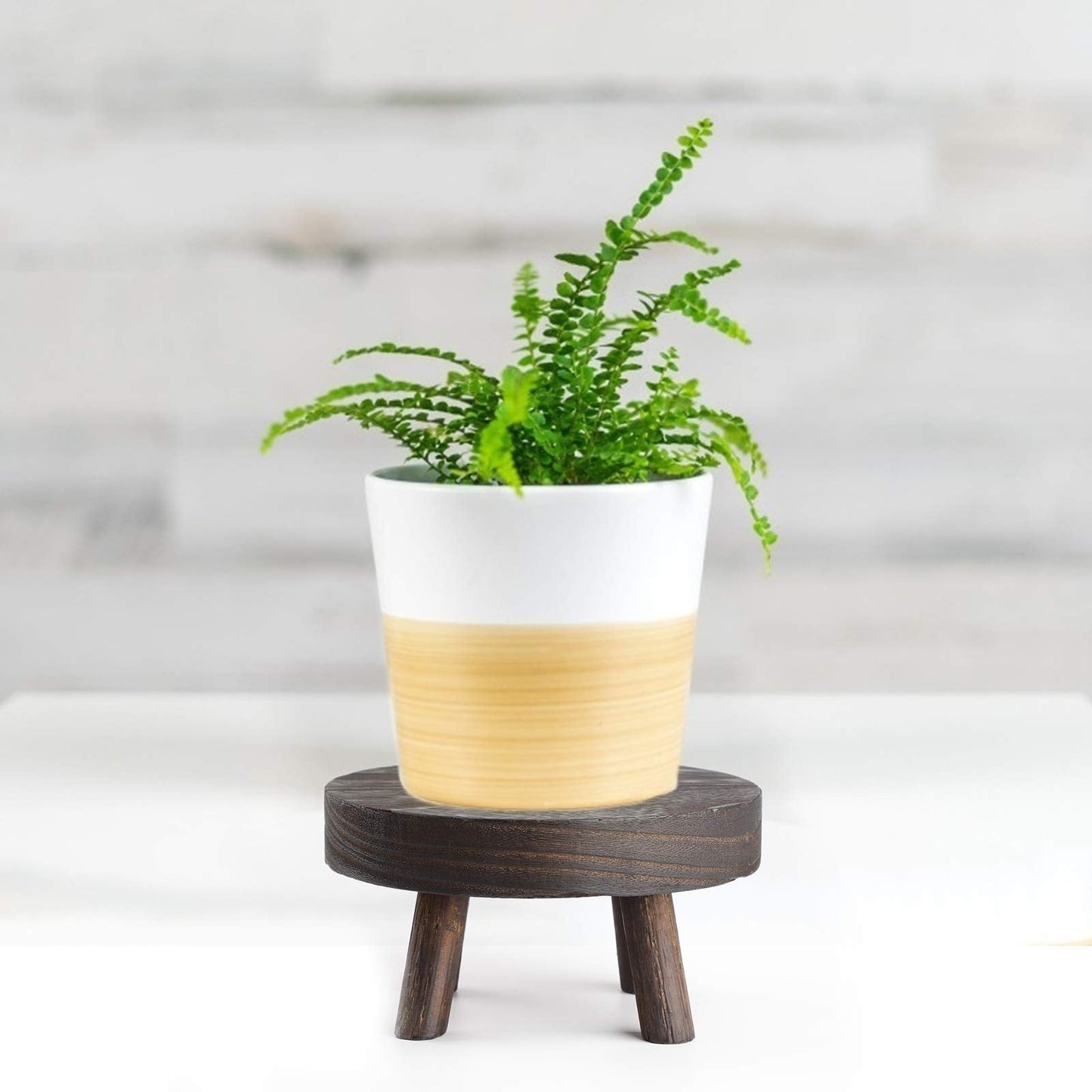 BFYDOAA Wooden Potted Stands Small Round Stool Plant Display Riser DIY Cake Holder for Home Corner Decor and Organizer (20CM-Dark)