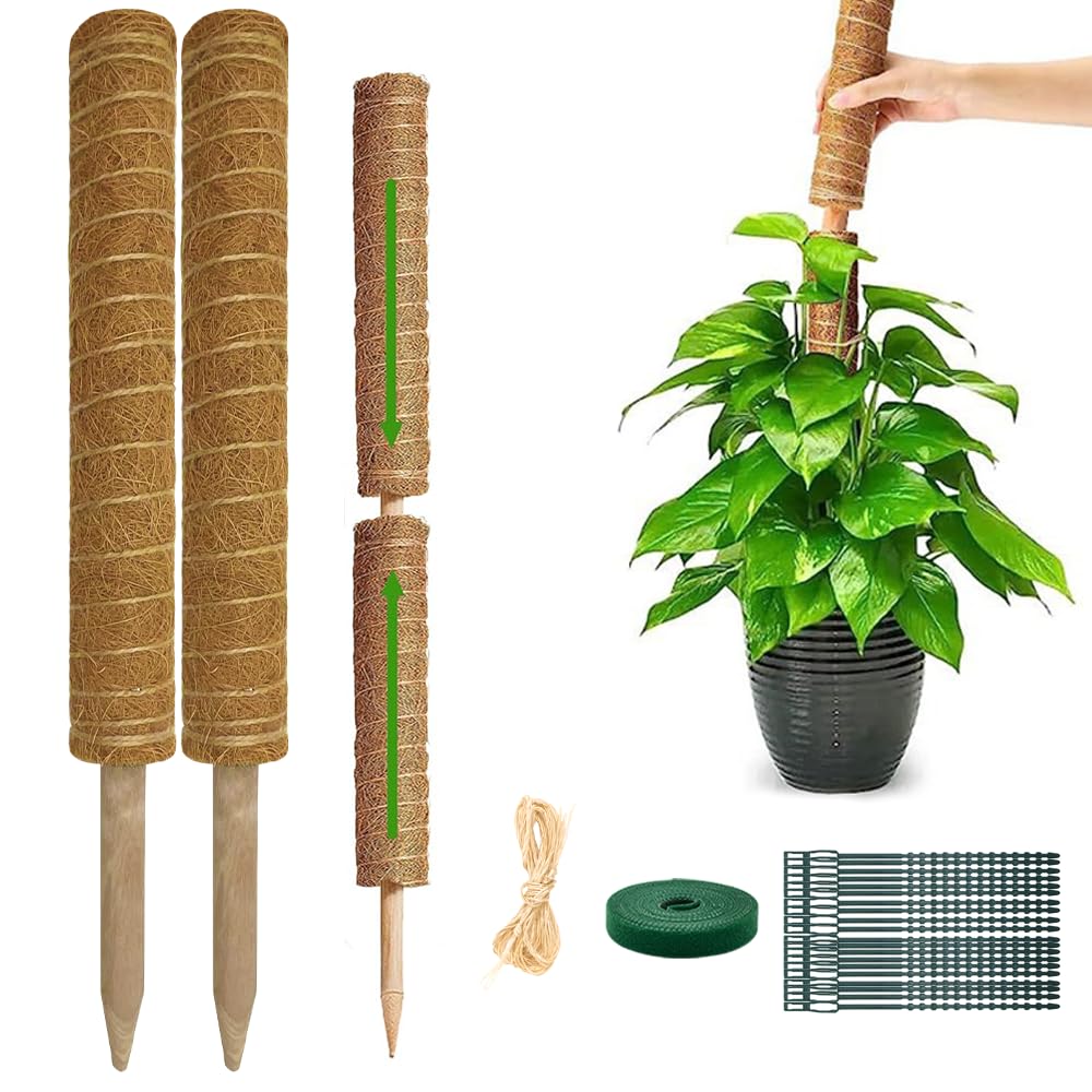 Monstera Plant Support Moss Pole: 2 Pack 16 Inch Stackable Coco Coir Moss Totem Stake Tall Stand Grow Stick Plants Rod Moss Holder for House Live Plant,Indoor Climbing Potted,Vine,Pothos,Philodendron