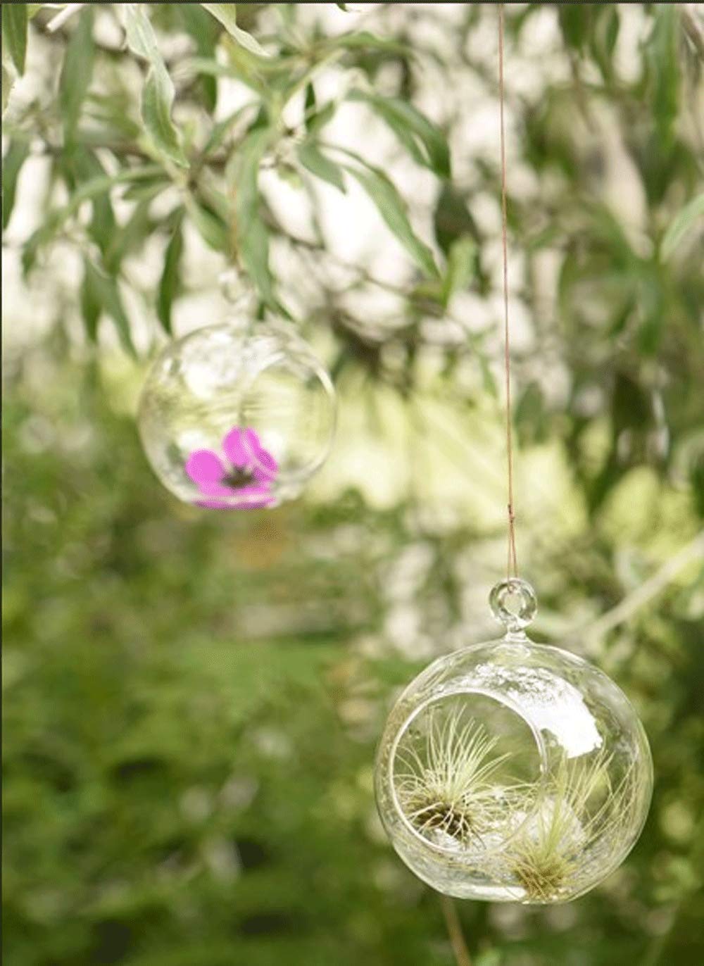 Ecosides 12 Pcs Hanging Glass Orbs Hanging Glass Globe Terrariums Without 2 Side Hole for Candle Holder, TeaLight Holder Candlestick for Wedding Decor