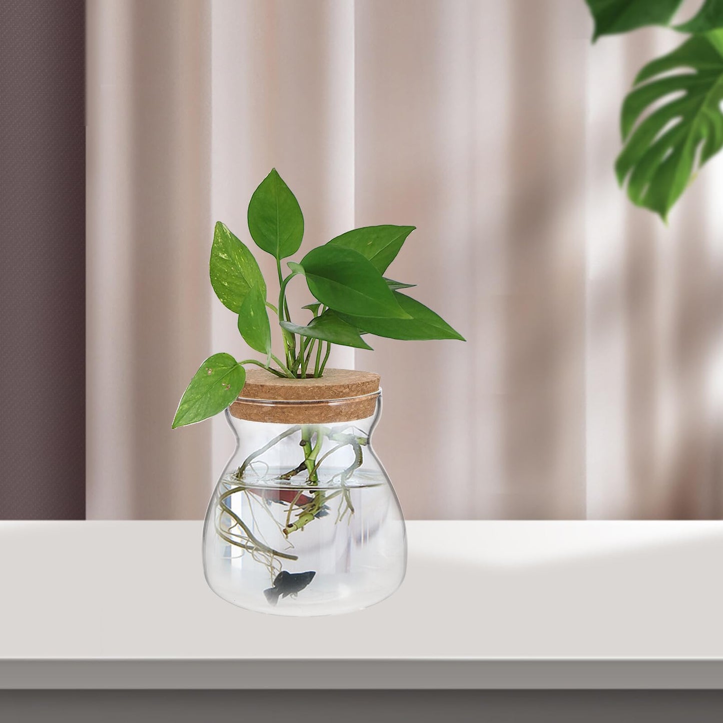 IDEANATEGRATE Glass Plant Jar Hole Lid Micro Landscape Terrarium Container Hydroponic Vases for Desktop Gardening Glass Ecosystem Container (Size)