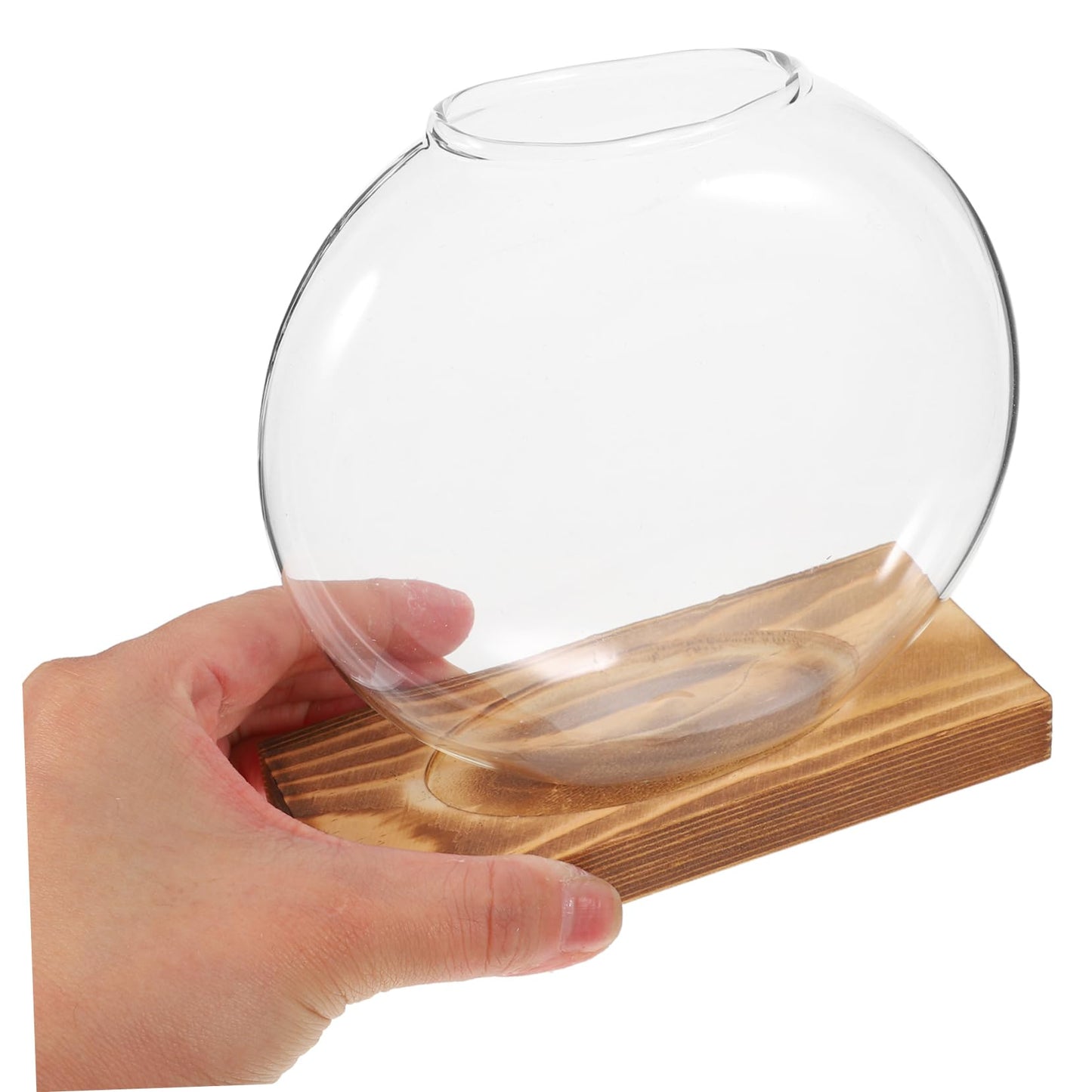 Totority Desktop Hydroponic Glass Plant Propagation Station with Transparent Vase and Wooden Base Soil Indoor Terrarium for Home Office Decoration and Tea Ceremony Display