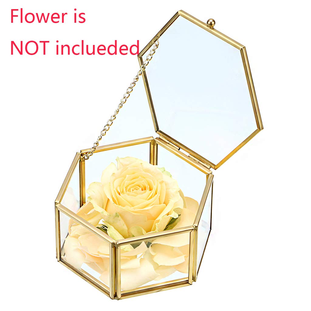 Hipiwe Preserved Flower Glass Box, Hexagon Glass Jewelry Decorative Bin, Ornate Trinket Display Organizer Case Keepsake Box Gift for Women