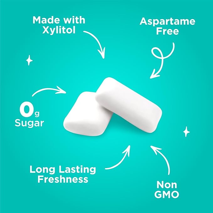 PUR Gum | Aspartame Free Chewing Gum | 100% Xylitol | Natural Wintergreen Flavored Gum, 55 Pieces (Pack of 3)
