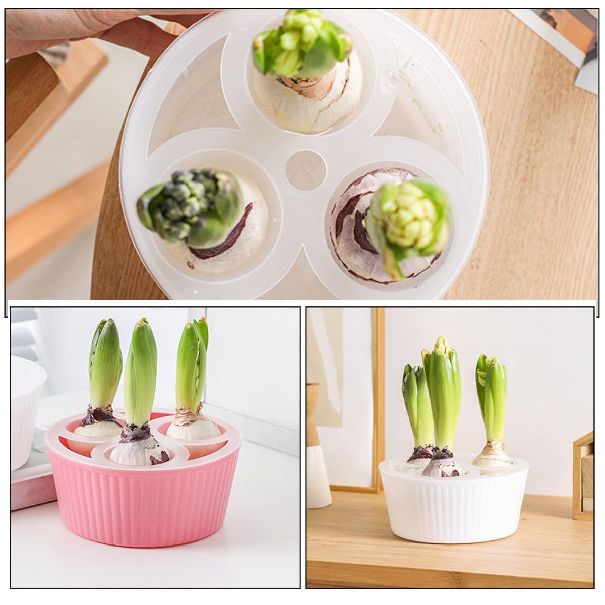 MOBUTOFU 2Pcs Net Cups 3-Hole Hydroponic Bulbs Planter Pot Small Root Control Plastic Flower Pots Heavy Duty for Tulip Daffodils Narcissus Indoor Water Planting and Succulent Gardening Plastic