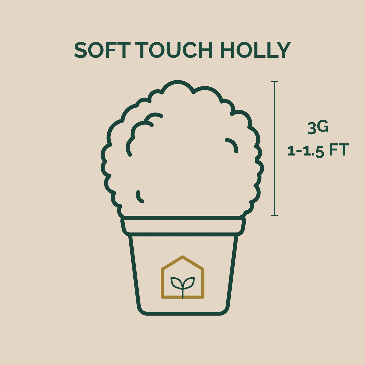 Soft Touch Holly 3-Gallon