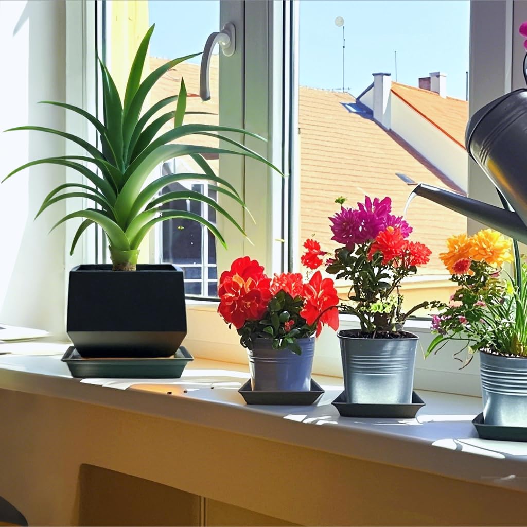 Tectsia Square Plant Saucer 8 Inch 5 Pack, Planter Trays for Flower Pots, Plant Water Catcher Drip Dishes, Plastic Bottom Watering Plates Indoors and Outdoors - Black