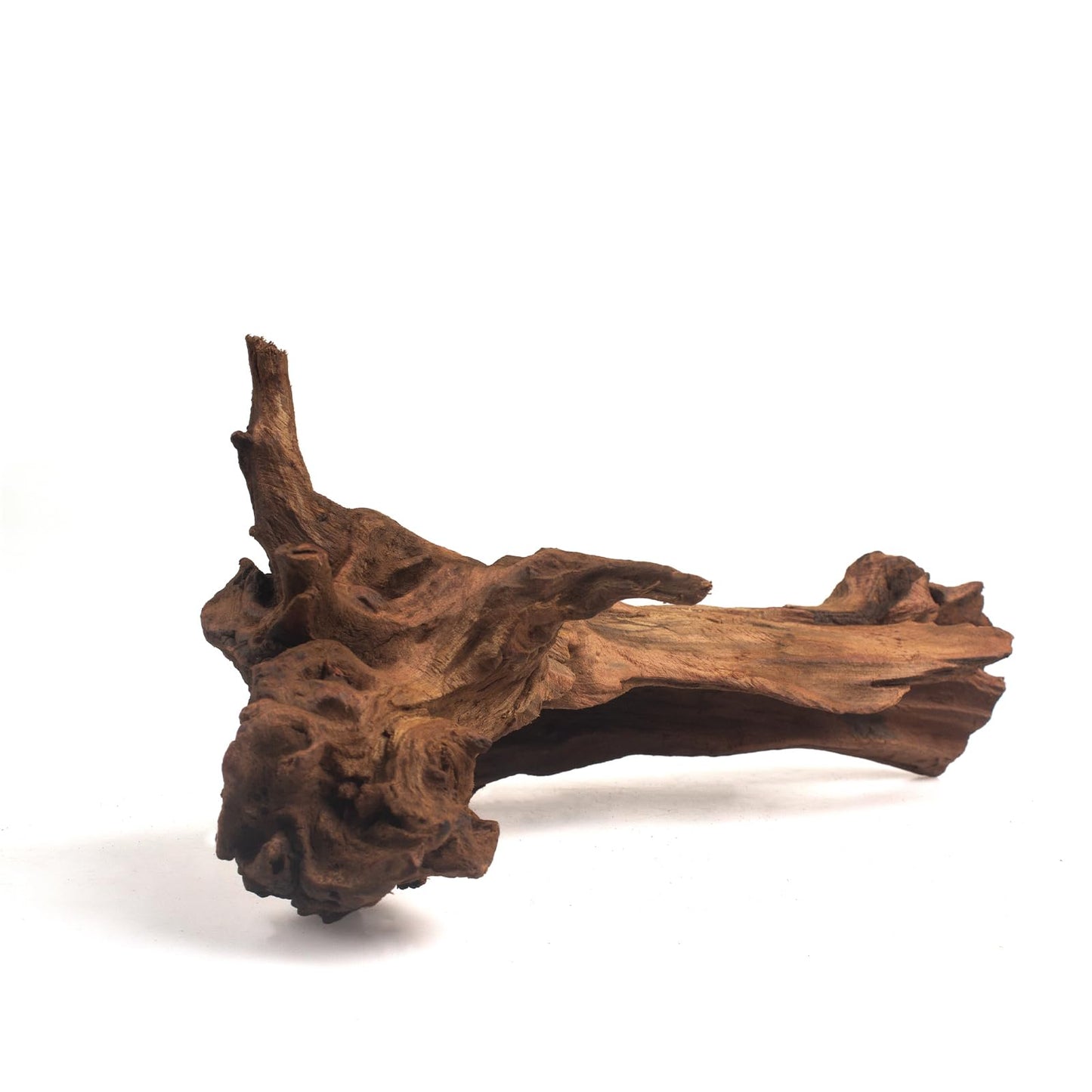 emours Aquarium Driftwood Fish Tank Decoration Varies Shape and Size (Medium)
