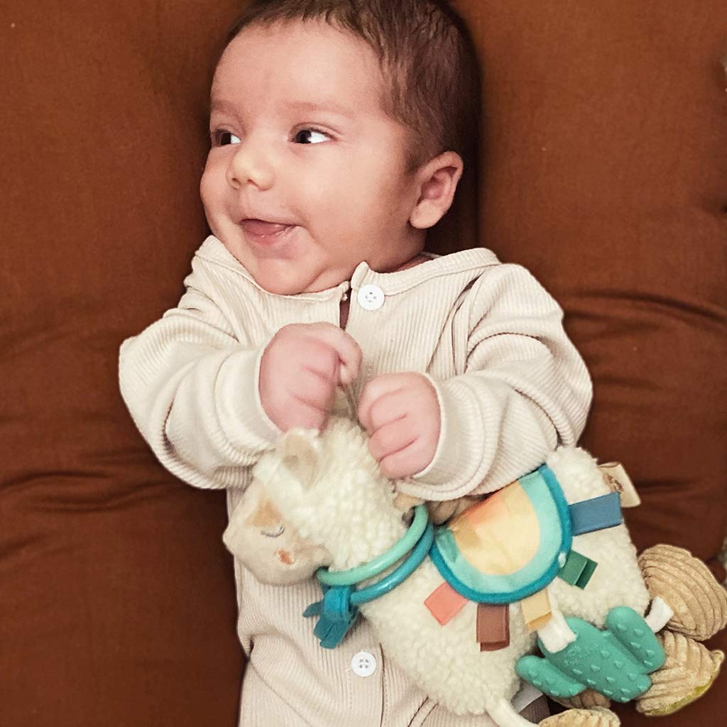 Itzy Ritzy - Itzy Lovey Including Teether, Textured Ribbons & Dangle Arms; Features Crinkle Sound & Link & Love Toy for Stroller, Car Seat or Activity Gym, Features Textured Ribbons