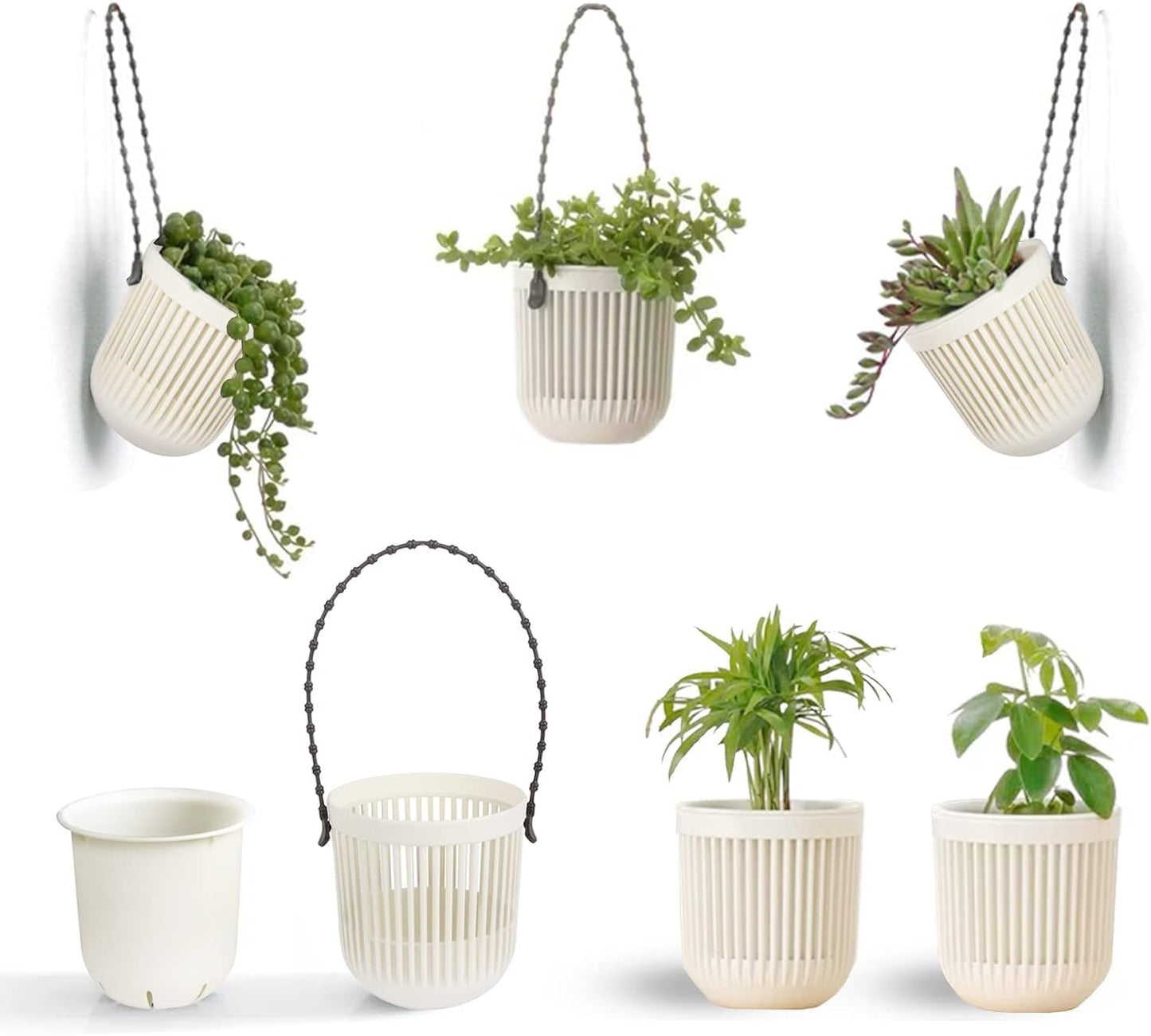Succulent Tools and Plastic Succulent Pots
