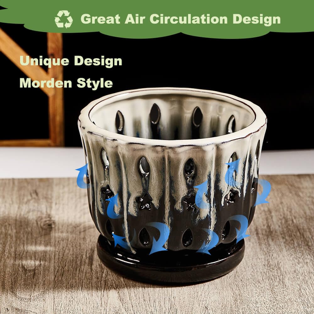 NiSevenLiving Orchid Pots with Holes Attached Saucers 6 Inches - 1 Pcs Small Ceramic Pots for Repotting, Decorative Ceramic Orchid Planter with Hole for Healthy Root Growth White Over Black