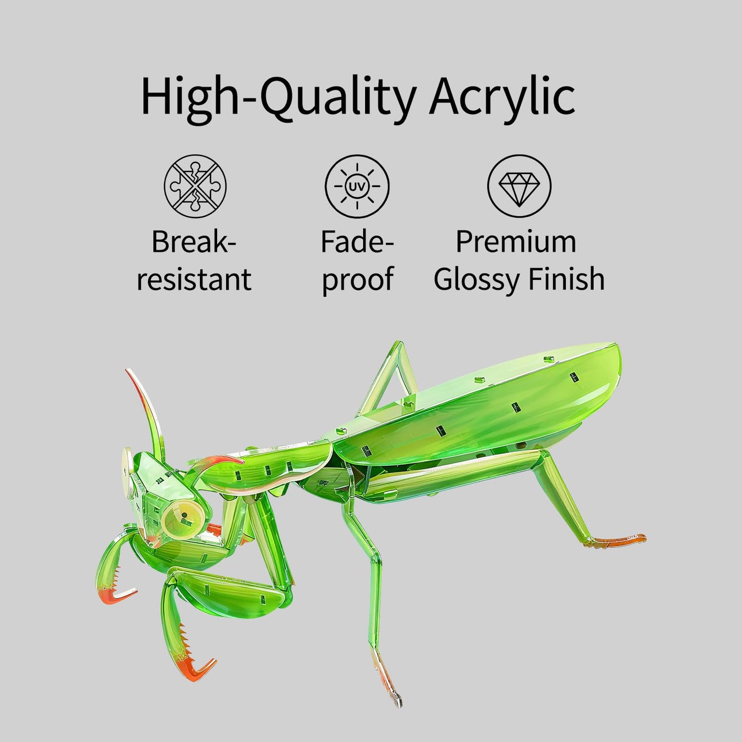 HELLOTOY 3D Acrylic Insects Puzzles DIY Bug Model Kit for Teenagers Educational Display Nature Decoration Figurine Sculpture (Mantis)