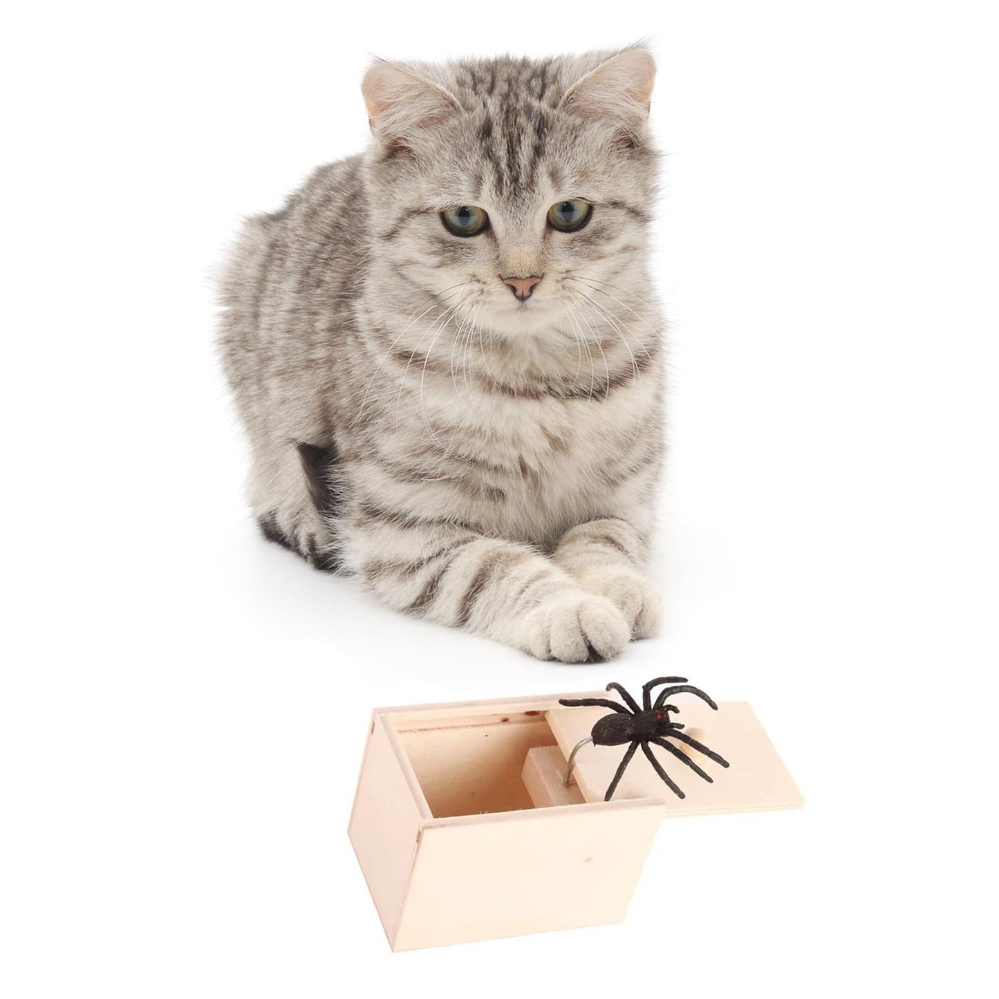 Winbar Rubber Spider Trick Box, Handmade Wooden Surprise Box with Hidden Spider, Trick Toys & Prank Stuff for Adults and Children