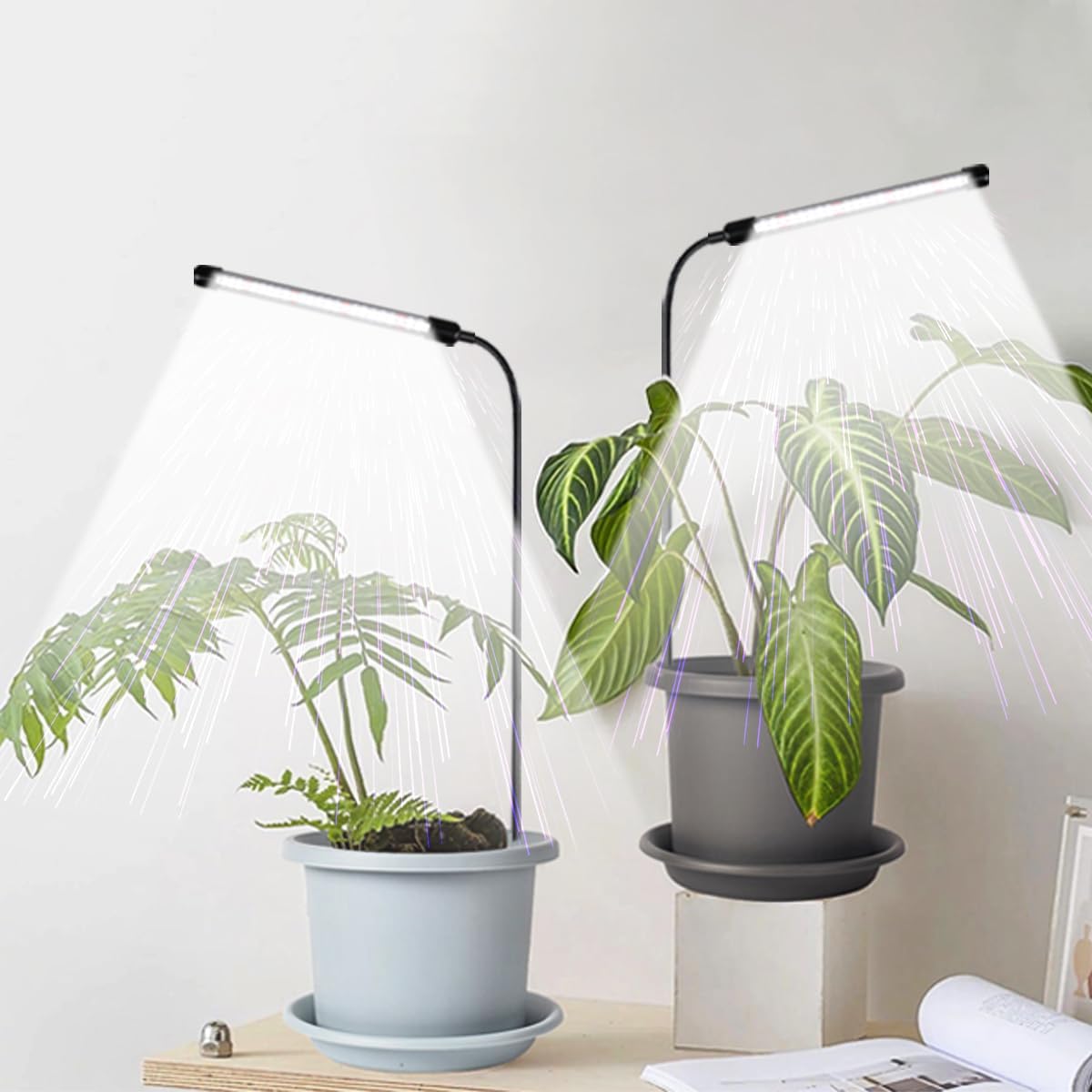 WeeLeeGoo Grow Light 2 Pack, 6000K Full Spectrum Gooseneck Growing Lamp for Indoor Bonsai Pot Succulents Micro Greens Mini Plants, Dimmable & Auto Timer 4 8 12H