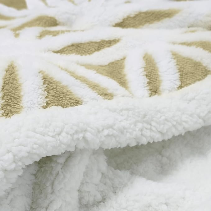 LOMAO Sherpa Fleece Blanket Fuzzy Soft Throw Blanket Dual Sided Blanket for Couch Sofa Bed (Fruit Green, 60''x80'')