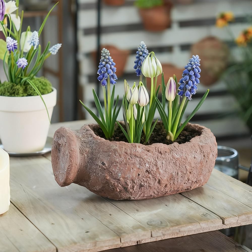 YUSNLAB Handmade Shallow Succulent Planter - 10 Inch Concrete Pot with Aged Stone Texture for Cactus, Aloe, Small Plants, Indoor/Outdoor Home Decor