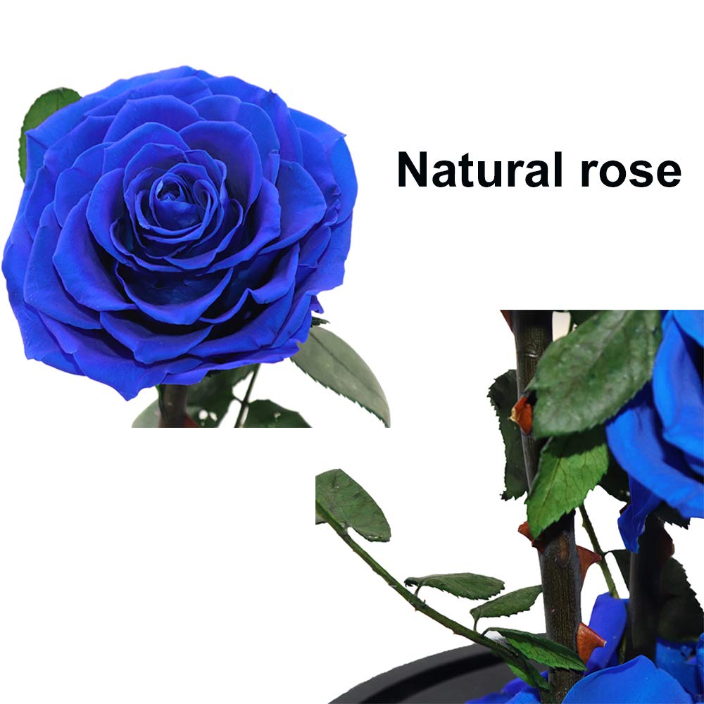 Preserved Roses Handmade Preserved Flowers in Glass Dome, Blue Rose Never Withered, Birthday Gifts for Women (13 inch)