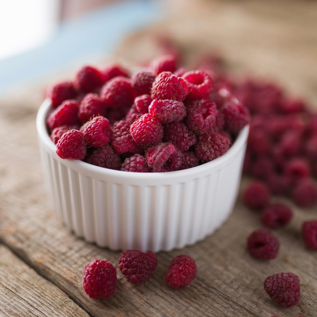 Set of 2 Raspberry Plants Live, Sweet Raspberry Bushes, 5-8 Inches Tall, Well-Rooted, Ready for Growing (Red Raspberry)