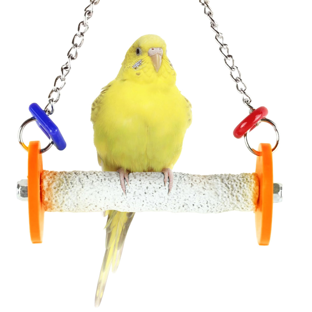 Sweet Feet and Beak Roll Bird Swing, African Grey, Medium, Blue
