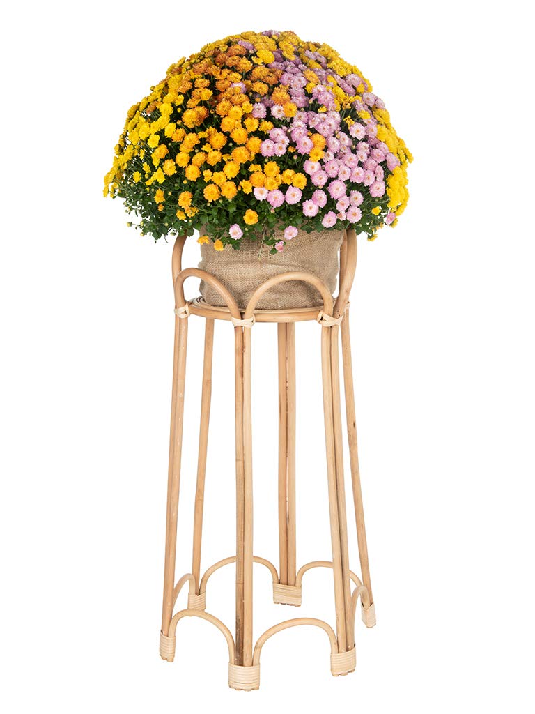 KOUBOO Rattan Loop Indoor Plant Stand, 26 inches, Natural Planter Brown